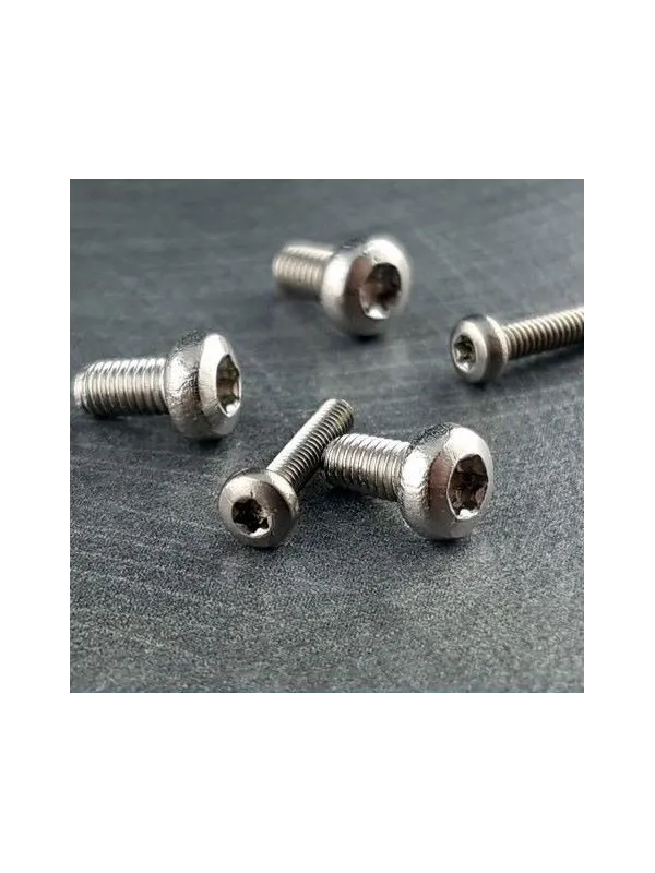 Viti Torx Testa Piatta Acciaio Inox M3 AAVITC3 Passione per i Coltelli Viti Torx Testa Piatta Acciaio Inox M3 AAVITC3 Passione per i Coltelli