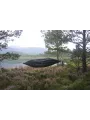 DD Hammocks DD Camping Hammock DD Hammocks DD Camping Hammock